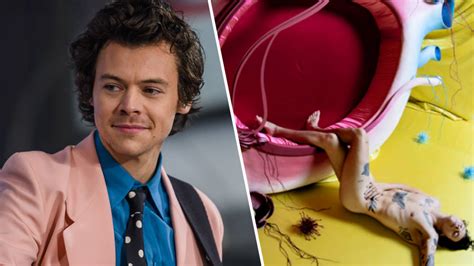 harry styles naked|Harry Styles reveals how naked Fine Line photo happened